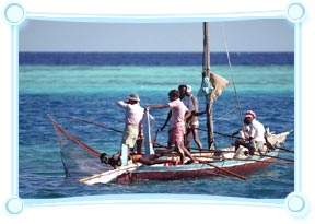 Fishing in Maldives