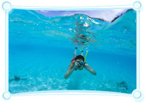 Snorkeling in Maldives